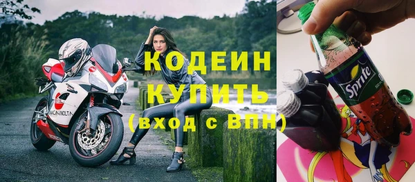 дживик Богородск