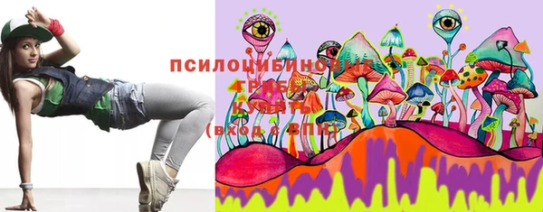ешки Богданович
