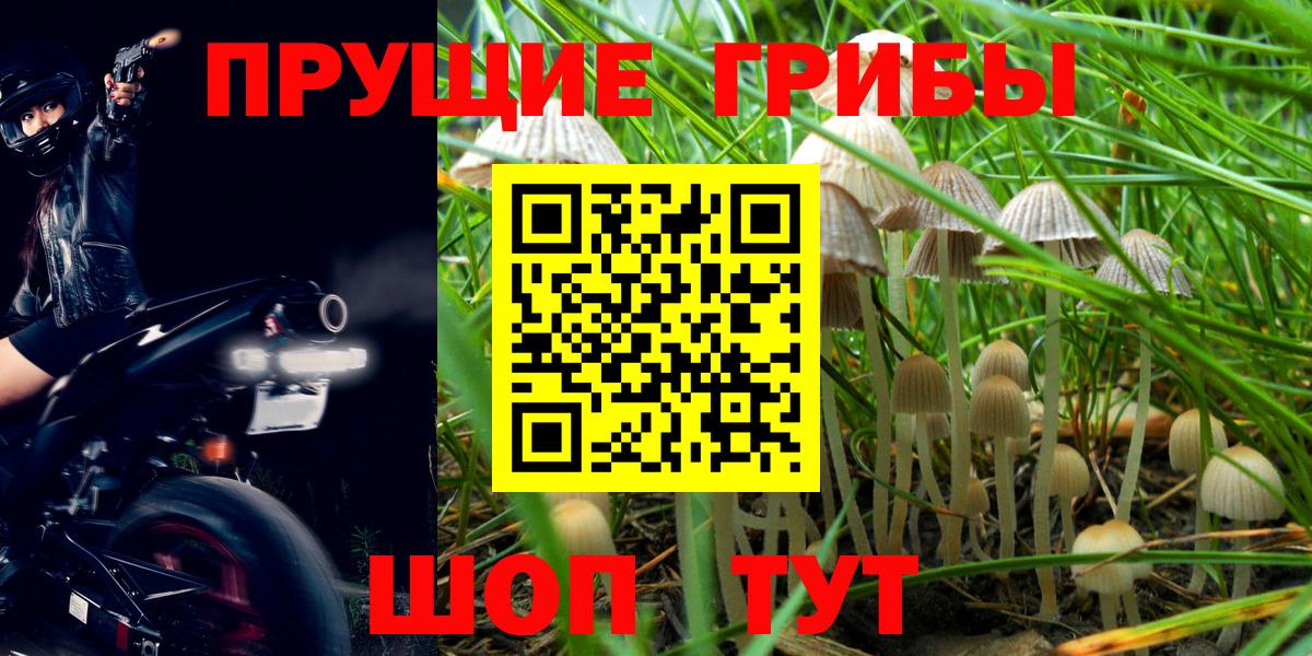 Меф   КОКАИН  НБОМе  A-PVP СК   ГАШ  Бошки Шишки  Лсд 25  Вход с VPN  Славгород  Меф МЯУ МЯУ 