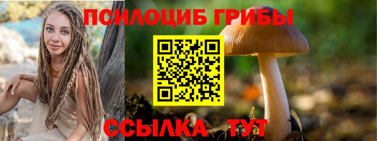 купить   Псилоцибиновые грибы мухоморы  Славгород  Вход с VPN  Псилоцибиновые грибы Cubensis 
